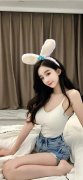 ehiverwer绿色版