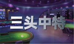 奇人偷图2019年